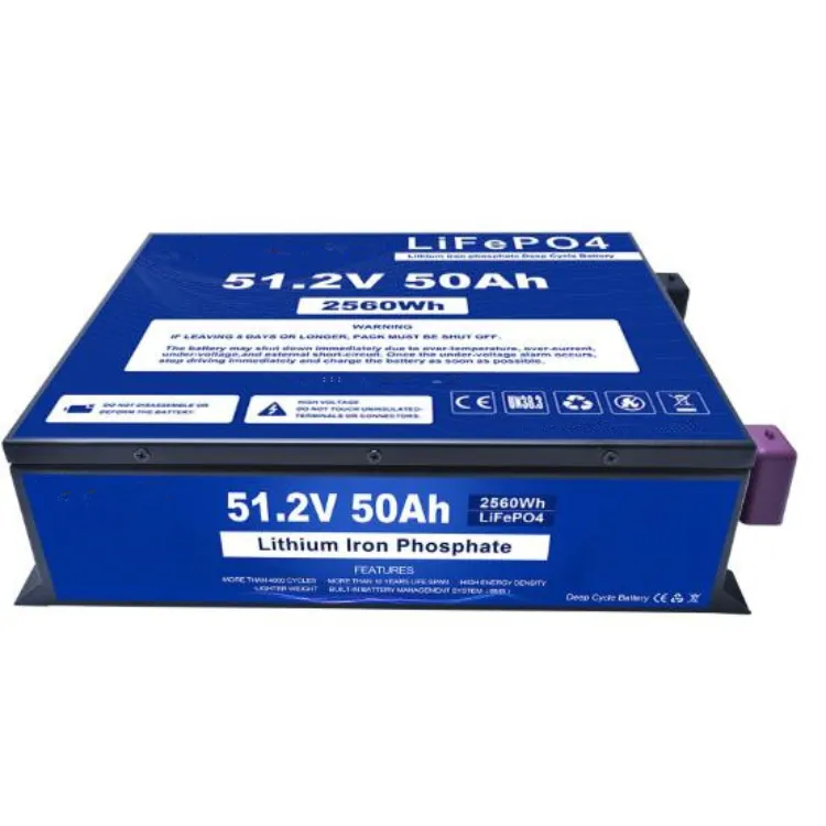 48v 50ah lithium iron phosphate Lifepo4 Battery For golf carts