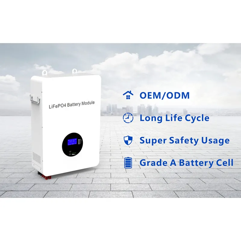 Wall-Mounted Energy Storage Battery Series EM48100W