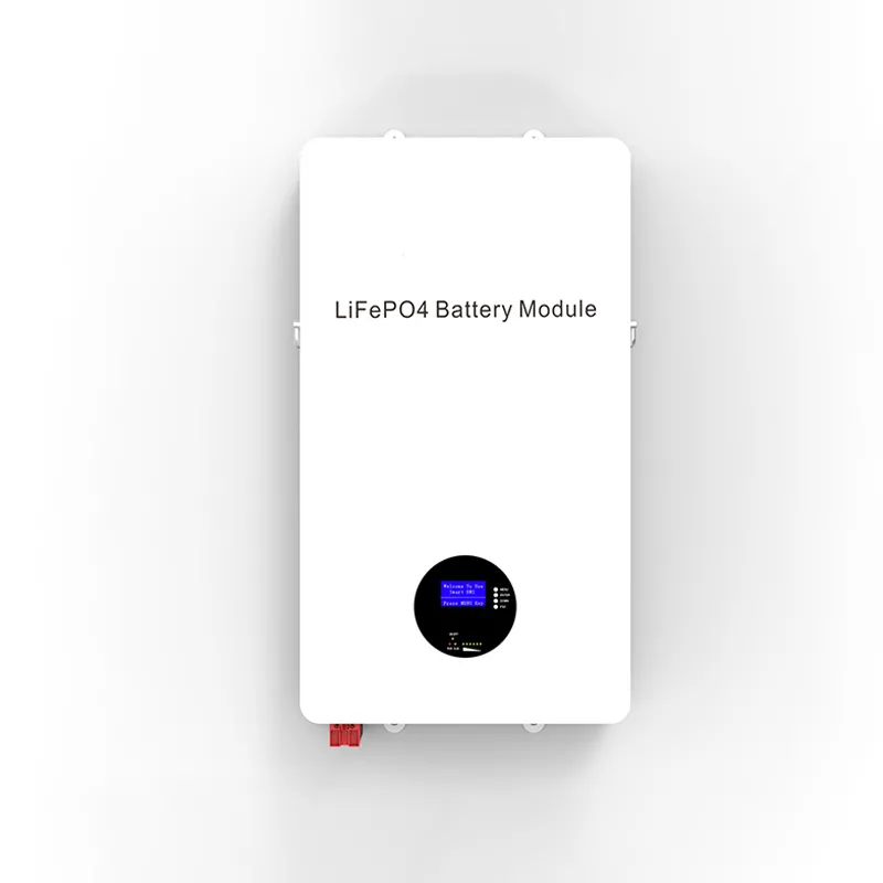 Wall-Mounted Energy Storage Battery Series EM48150W